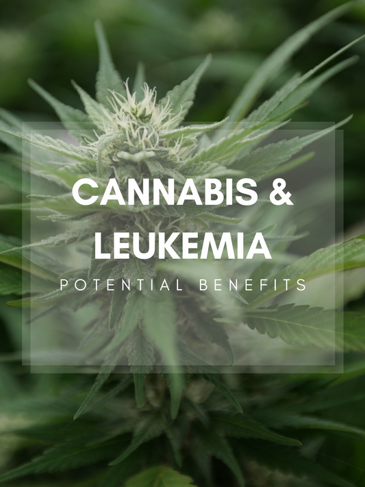 Mögliche Vorteile von Cannabis bei der Behandlung von Leukämie