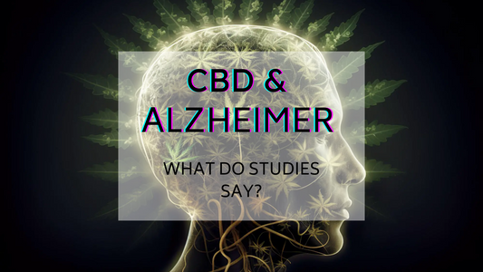 CBD bei der Behandlung der Alzheimer-Krankheit