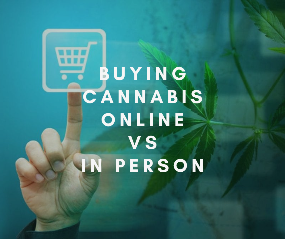 Das Online- oder persönliche Cannabis-Einkaufserlebnis