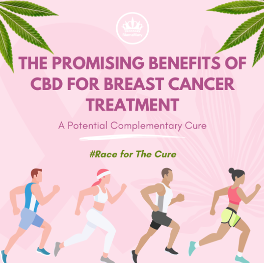 CBD und Brustkrebs: Untersuchung der potenziellen Vorteile und vielversprechenden Forschungsergebnisse