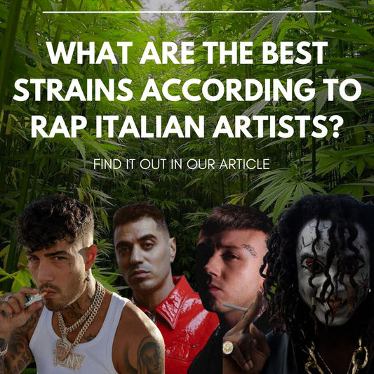 Tony Effe, Lazza, Marracash, Sfera Ebbasta, Jesse the Maestro und viele andere: Welche sind die Lieblingssorten der besten Künstler der italienischen Rap- und Trap-Szene?