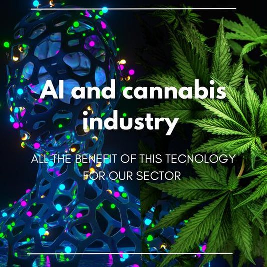 Wie künstliche Intelligenz die Cannabisindustrie verändern kann