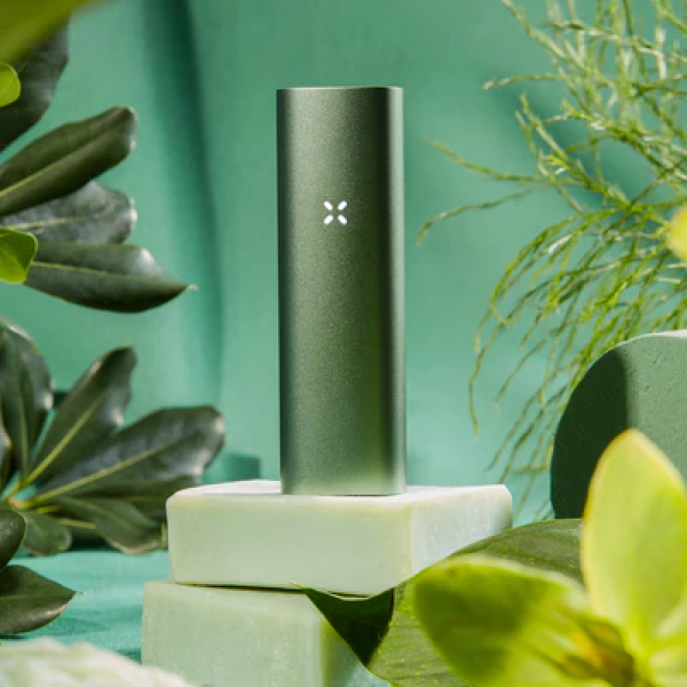 PAX 3 (DRY HERB + CONCENTRATE) - mamamary